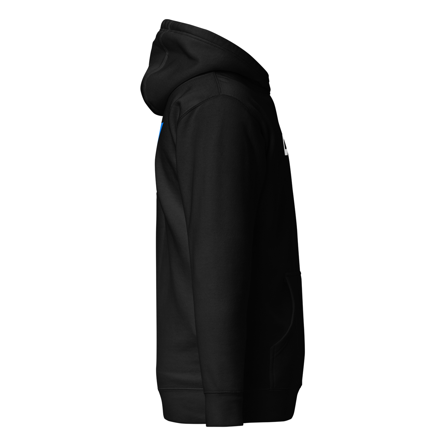 DTW Premium Hoodie