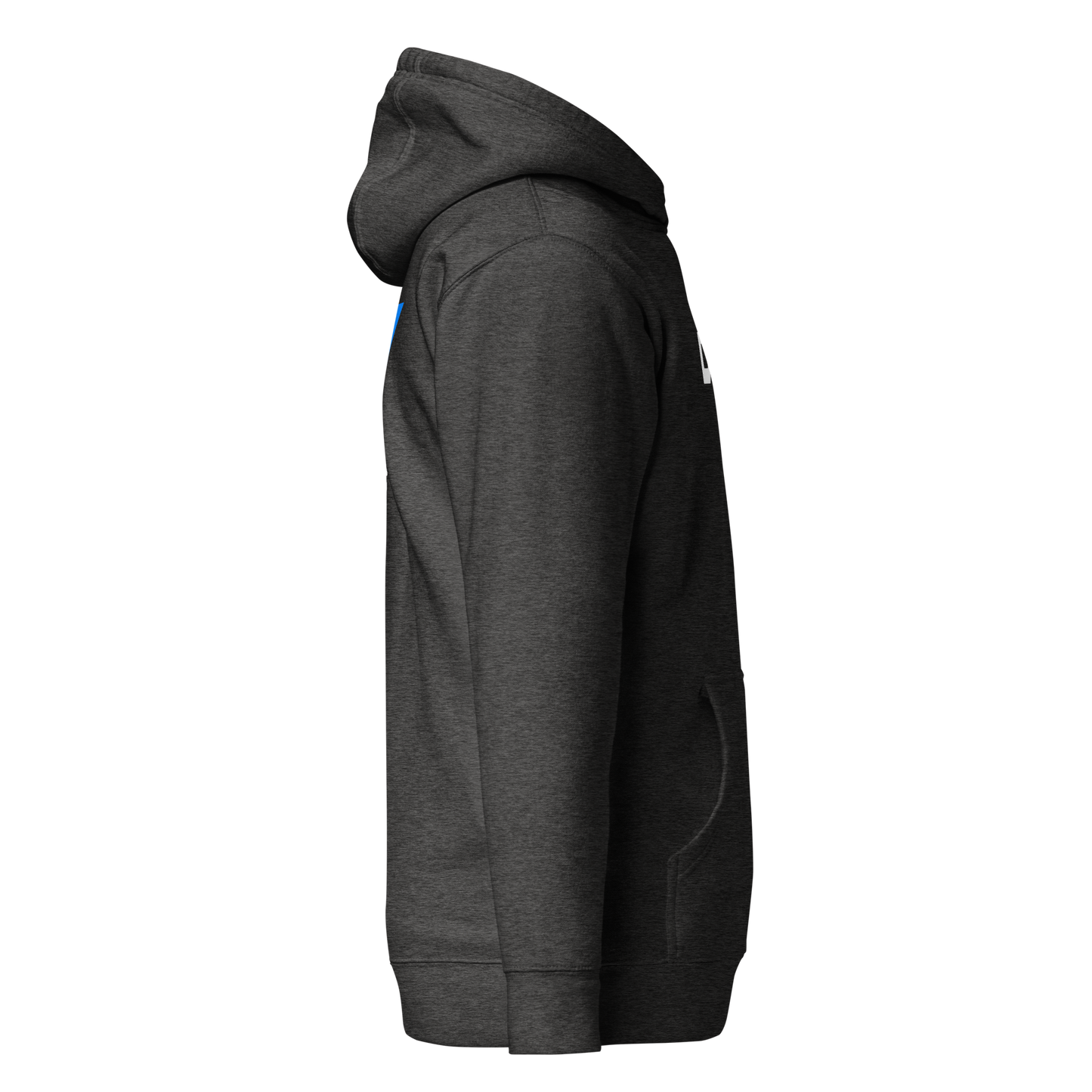 DTW Premium Hoodie