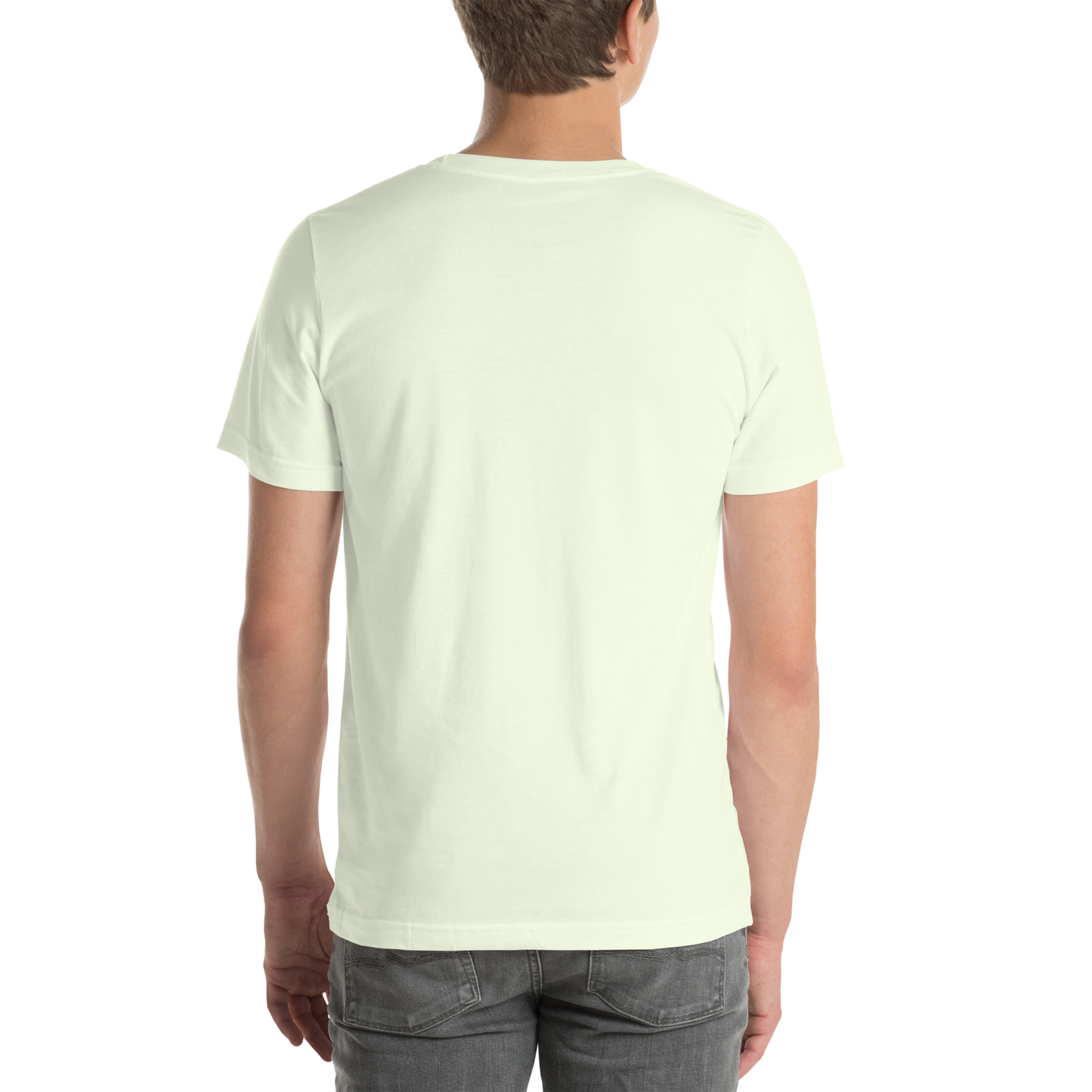 Premium Unisex t-shirt