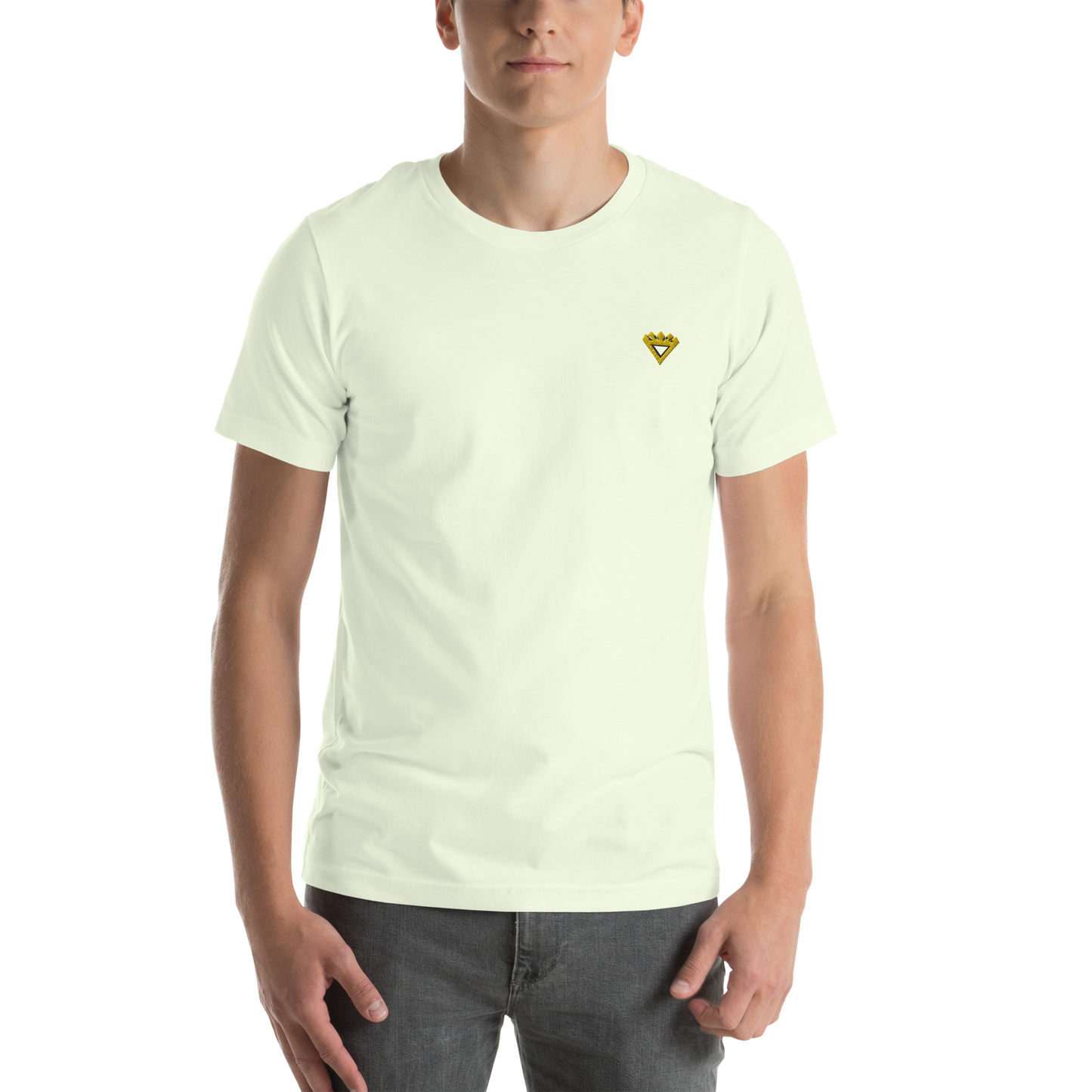 Premium Unisex t-shirt