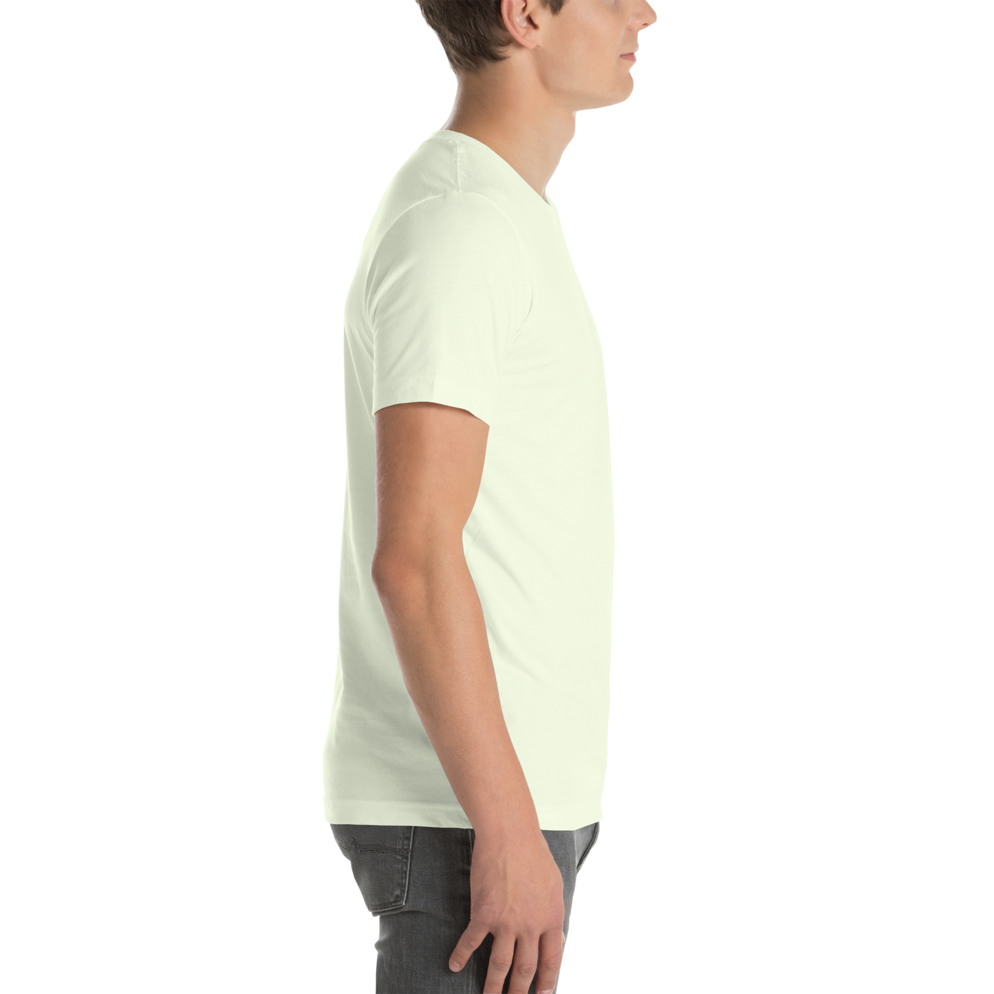 Premium Unisex t-shirt