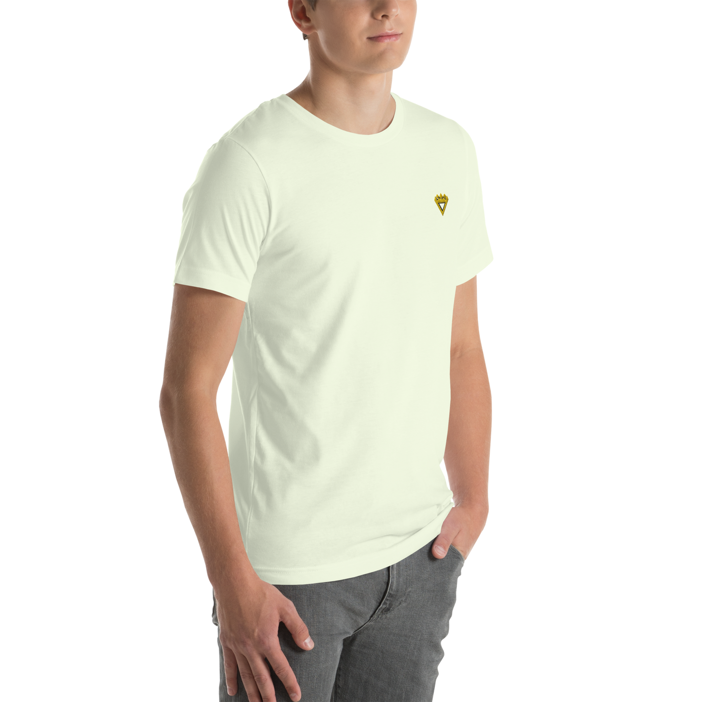 Premium Unisex t-shirt