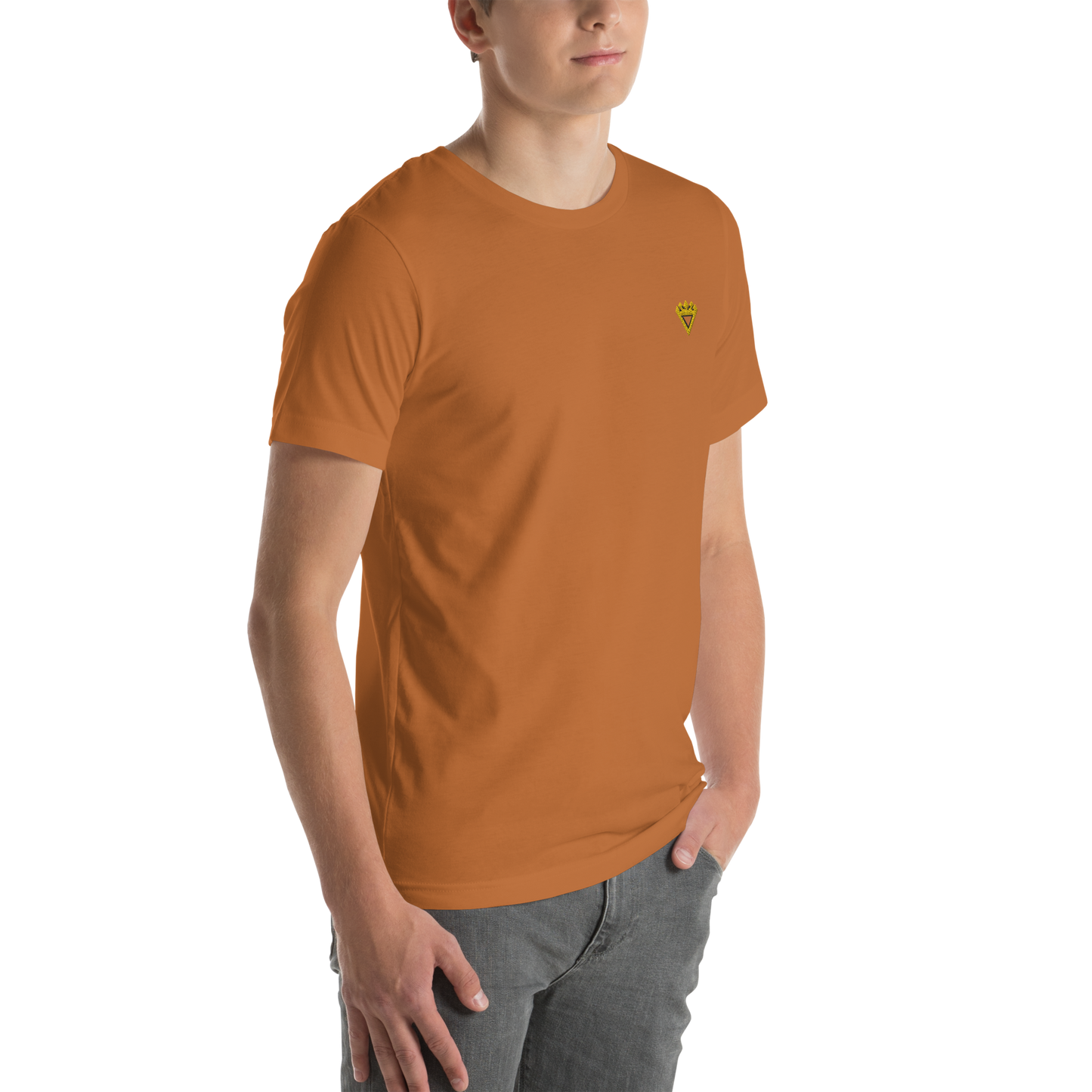 Premium Unisex t-shirt